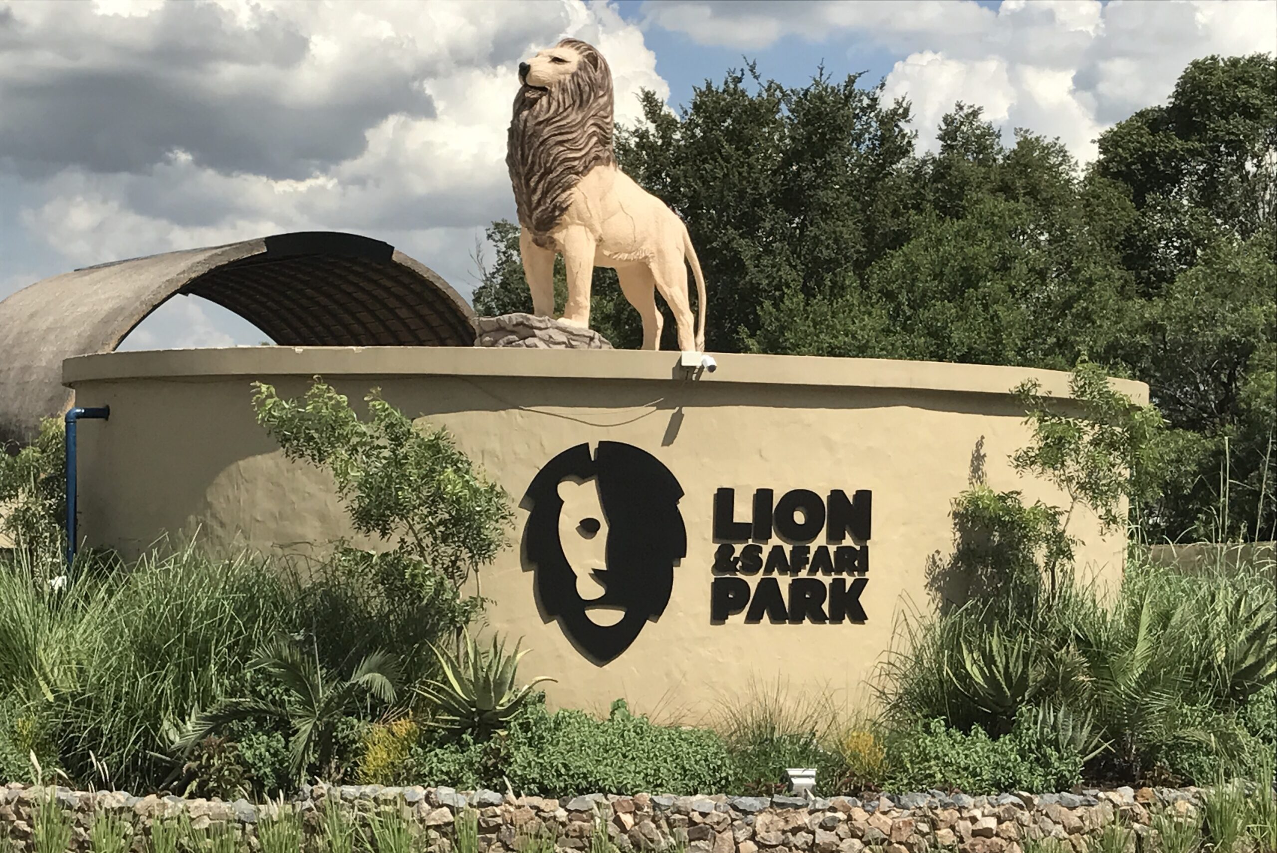Lion and Safari Park Tour