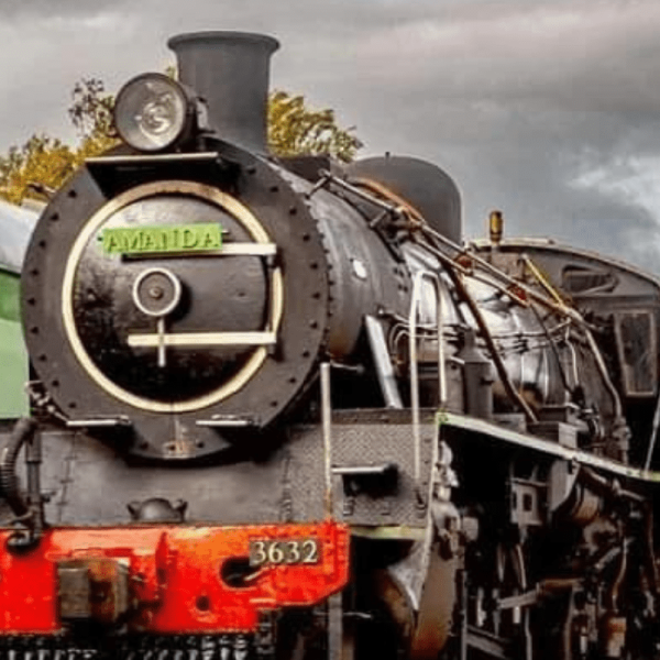 Exclusive Robertson Steam Train Experience